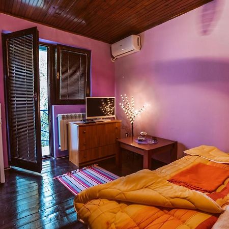 Laufer Hostel Novi Sad Bagian luar foto