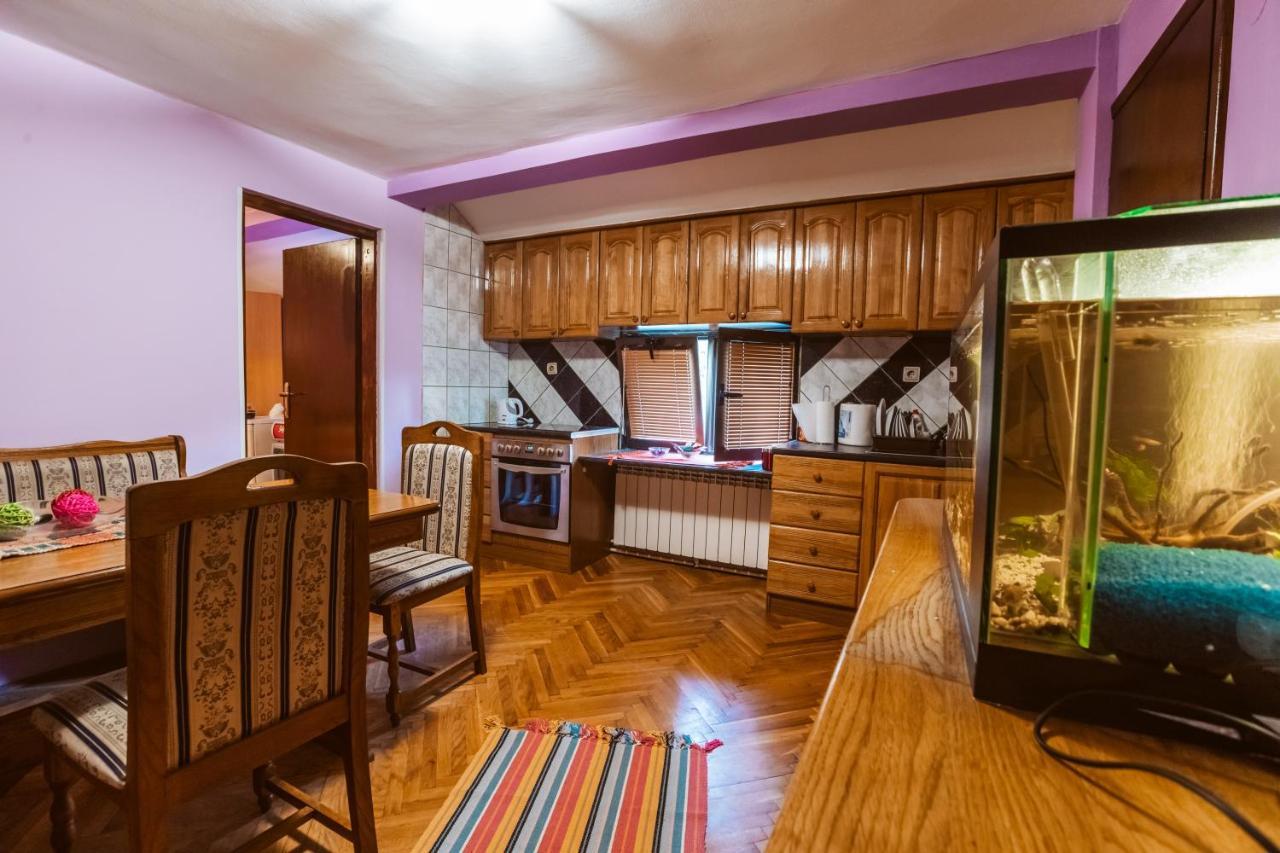Laufer Hostel Novi Sad Bagian luar foto